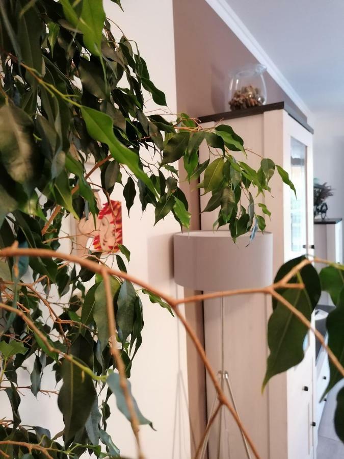 Apartman Luna Šibenik Exteriör bild